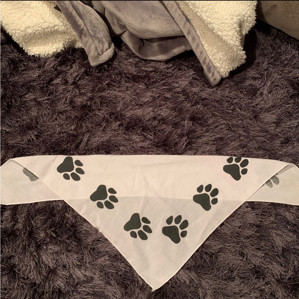 Paw Print Pet Bandana